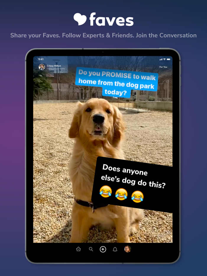 Faves - memes, videos  more