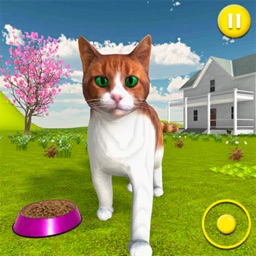 Kitten Cat Simulator Games 3D