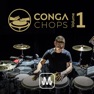 Get Conga Chops - Vol 1 for iOS, iPhone, iPad Aso Report