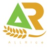 ALLRice