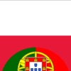Dicionário Polonês-Português