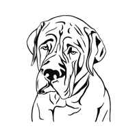 Mastiff Fitness