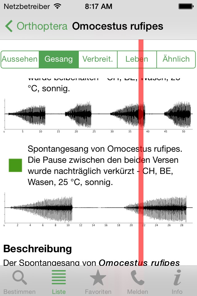 Orthoptera screenshot 4