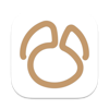Navicat 16 for MariaDB