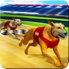 Dog Crazy Race Simulator 2023