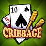 Get Cribbage - Crib & Peg Game for iOS, iPhone, iPad Aso Report