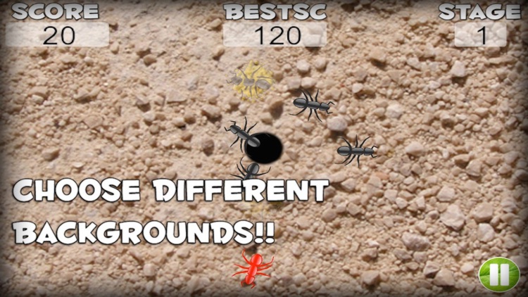 Ant Destroyer FREE screenshot-4