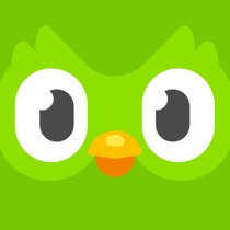 Icon - Application - Duolingo