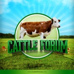 Cattle Forum