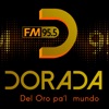 Radio Dorada 95.5 FM