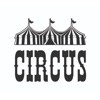 Circus Hair