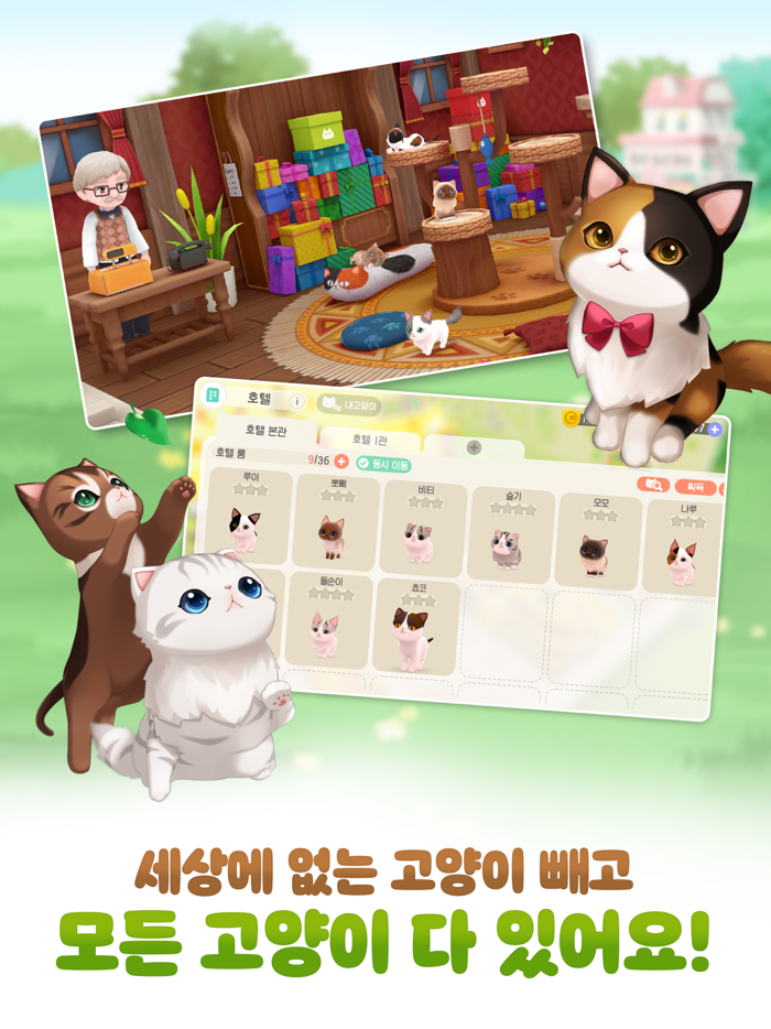 고양이다방2 포레스트