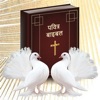 Hindi bible - verse,name,game