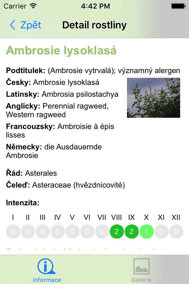pyly.cz screenshot 4