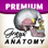 Grays Anatomy Premium Edition