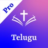 Bible Grandhamu (Telugu) Pro