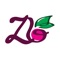 ZazzBerry (PTY) Ltd, is based in Centurion , South Africa