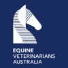 EVA: Equine Forms