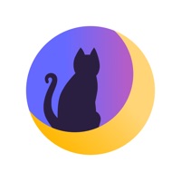Asnonum на пк