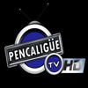 Pencaligüe TV