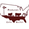 Producers Cattle Auction
