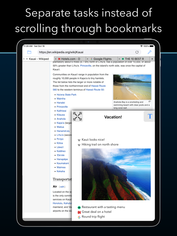 Iceberg Browser Notes screenshot 3