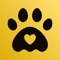 Icon Dog Breed Scanner & Care App