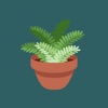 Planty | Plant Finder,Plant ID