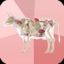 Get Beef Cuts 3D for iOS, iPhone, iPad Aso Report