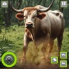 Angry Bull Attack Fight Game