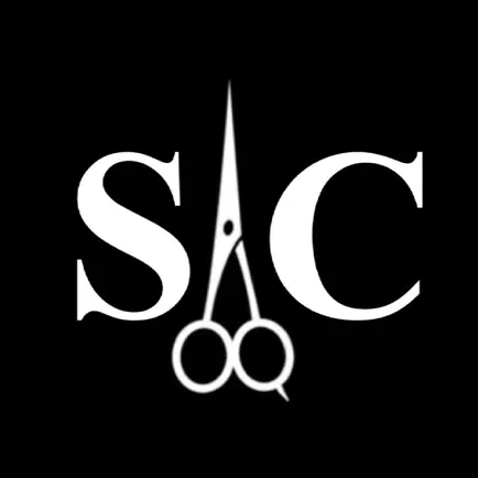 Salon Council Читы