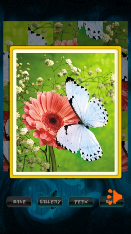 Butterfly Jigsaw