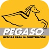 Pegaso