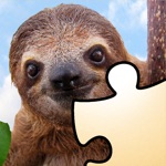 Jigsaws Gold