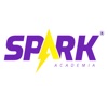 Spark Academia