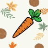 CarrotApp - Food Word collect