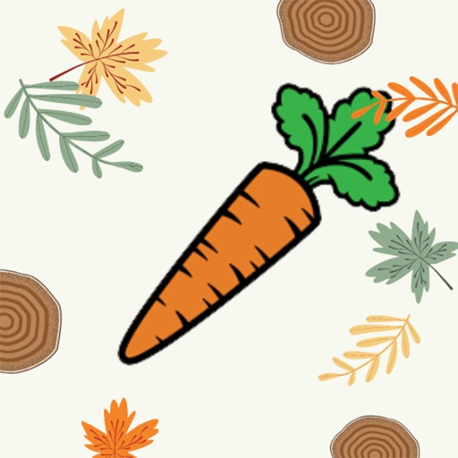 CarrotApp - Food Word collect