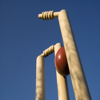 CricScore -Cricket Scoring App - Manickam Poonkundran
