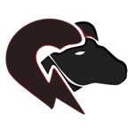 Aries Enerji