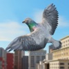 Pigeon Bird Flight Simulator