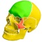 This App is a great tool for everyone who wish to quickly memorize all the bones of human skull