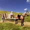 Live a life of village peasant stagecoach jockey, be Arabian horse carriage buggy transporter in this real world of horse cart driving harness cowboy adventure simulator horse cart games 2020