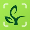 PlantSaver - Plant Identifier