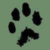 Luchs-App