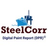Digital Paint Report (DPR)©