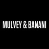 MULVEY & BANANI Connect