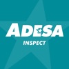 ADESA Inspect