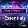 Essentials For After Effects - Nonlinear Educating Inc.