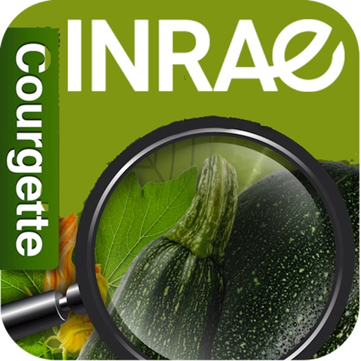 Di@gnoplant Courgette Download