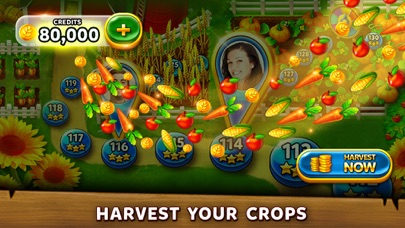 Solitaire Grand Harvest screenshot 4